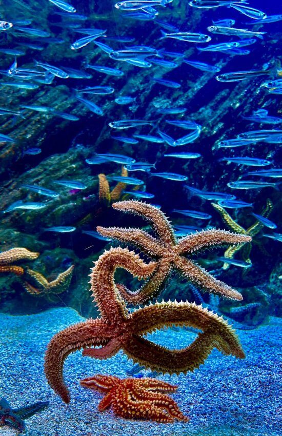 522714870_1190352473121272_3715958330057593951_n