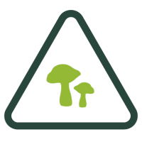 ptxco_icono-alergenos